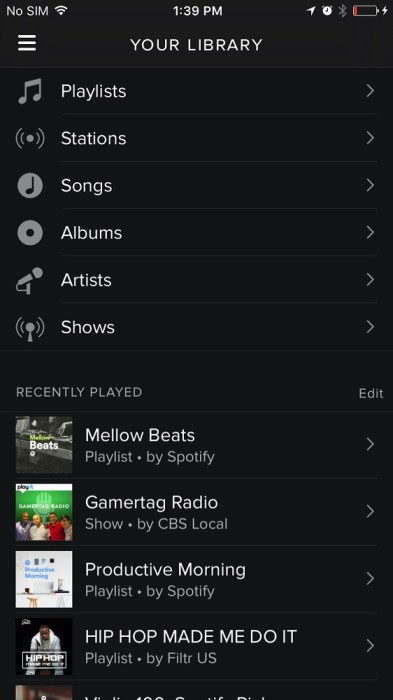 How to Download Music from Spotify to iPhone?