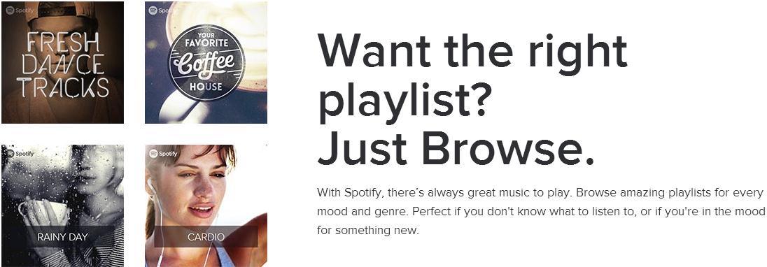 search Spotify playlist