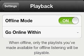 Spotify Offline Access