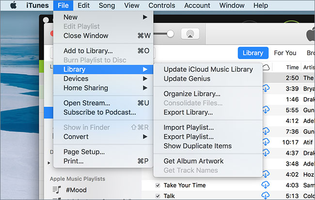 clean up itunes library