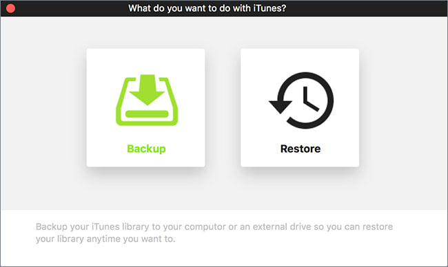 transfer itunes library